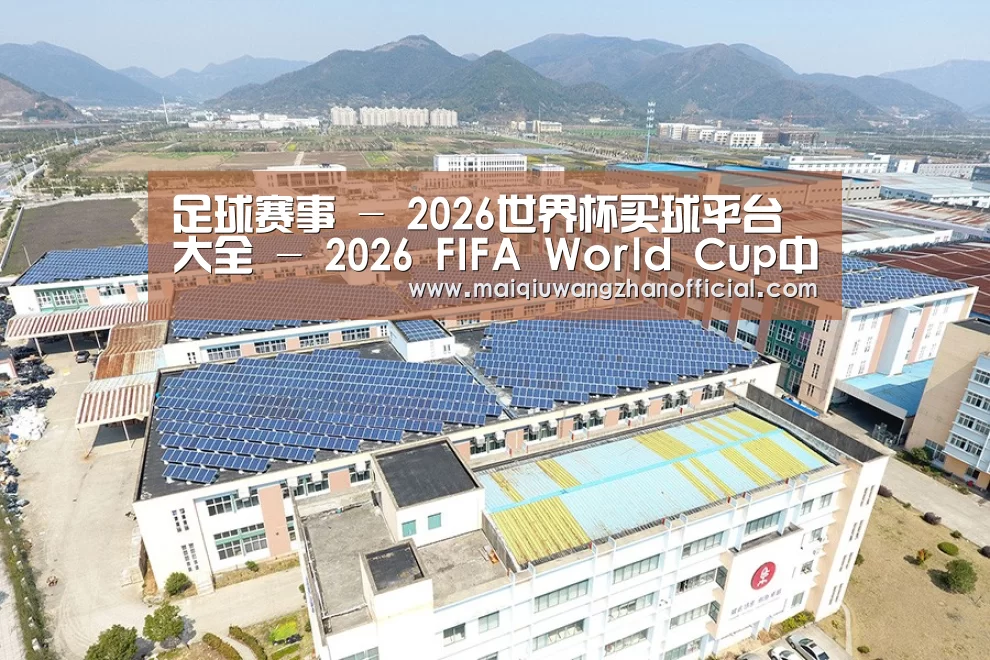 案例展示二
