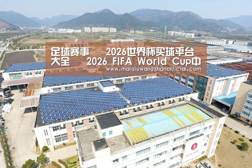 案例展示一