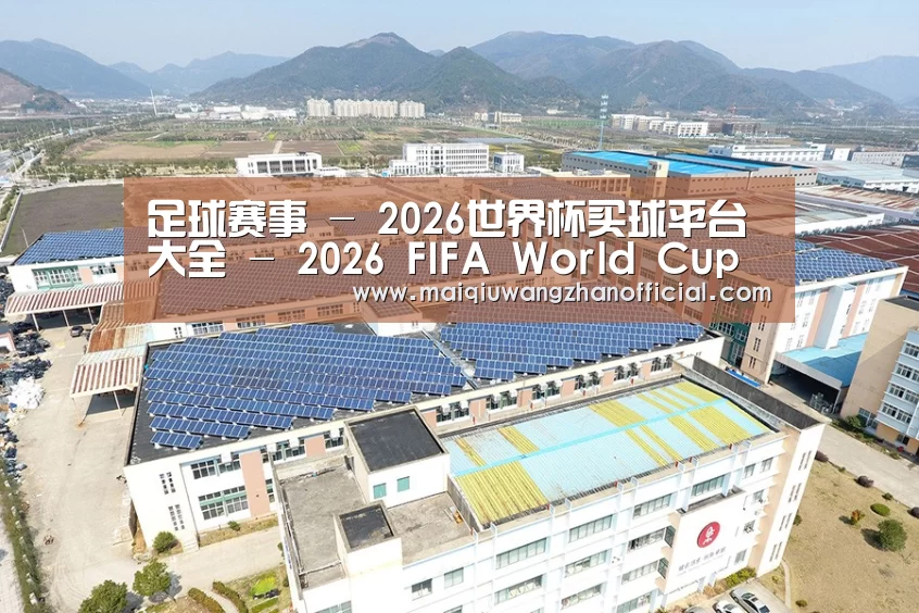 案例展示四