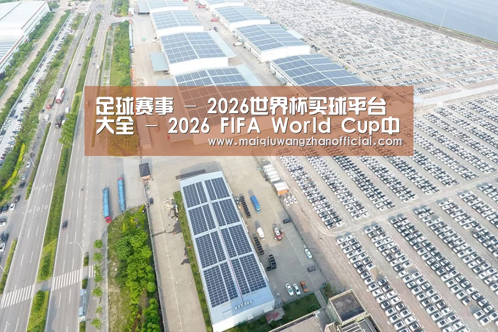 案例展示三