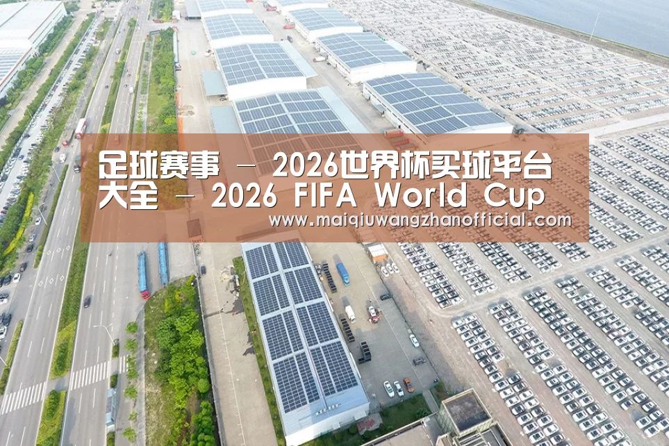 案例展示二