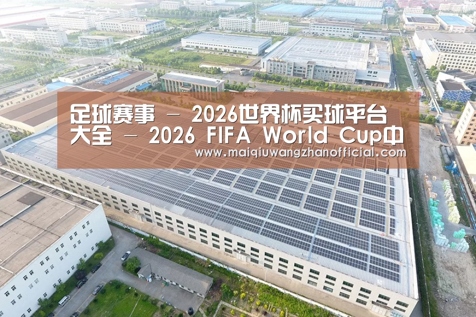 案例展示四