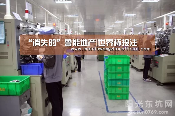 “消失的”鲁能地产|世界杯投注(图3) 世界杯买球网站