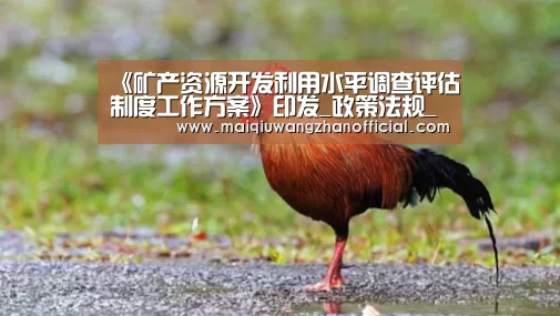 世界杯外围买球