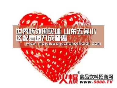 世界杯买球网站官网